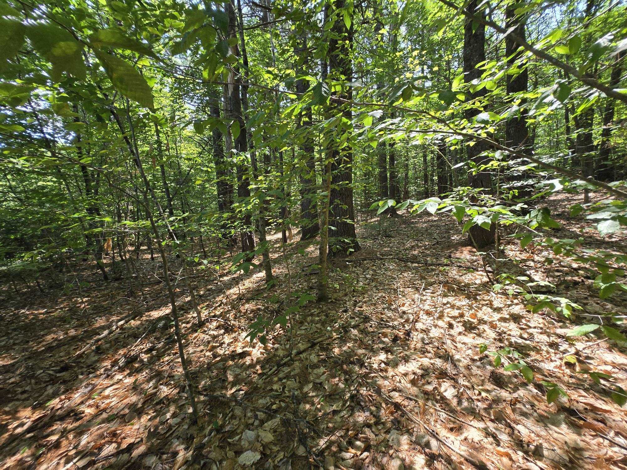 Lot 27 Davis Hill Road