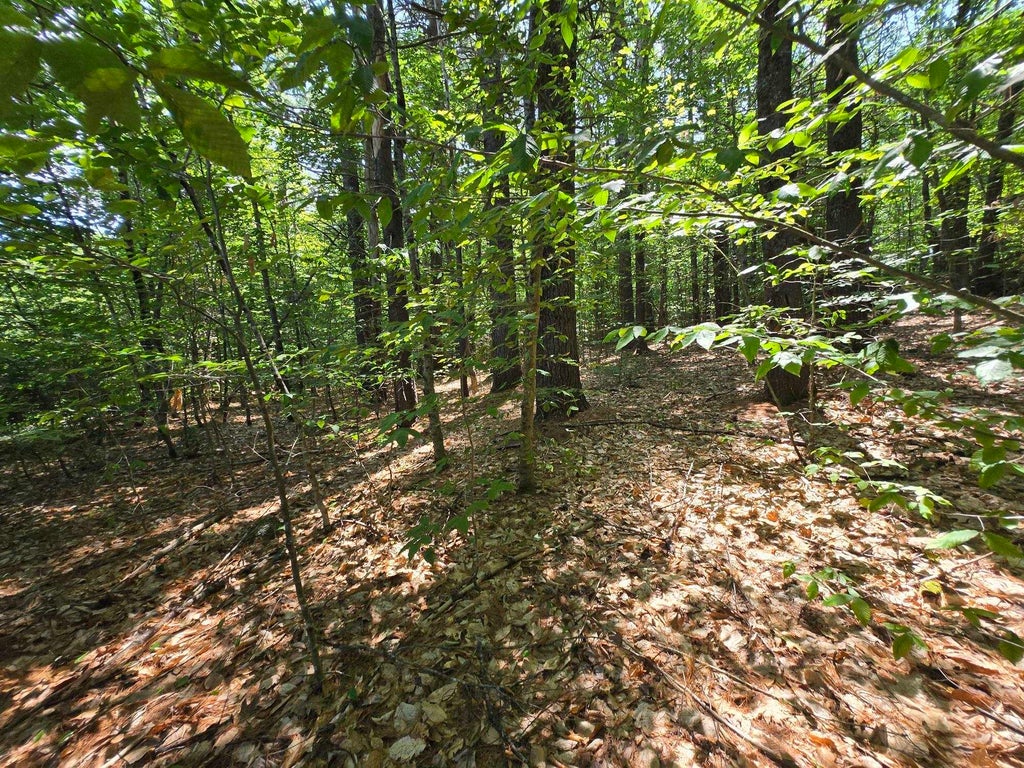 Photo of 27 Davis Hill Road, Conway, NH 03813 (MLS # 5100793)