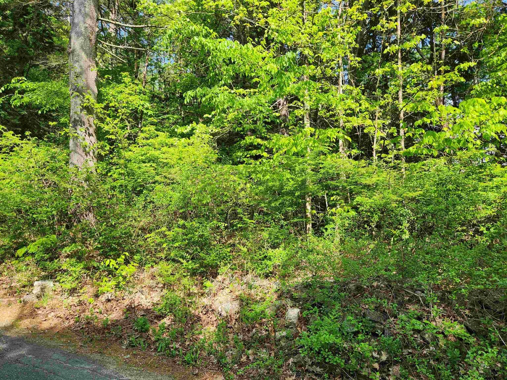 Photo of 0 Cobble Hill Road, Swanzey, NH 03446 (MLS # 5089720)