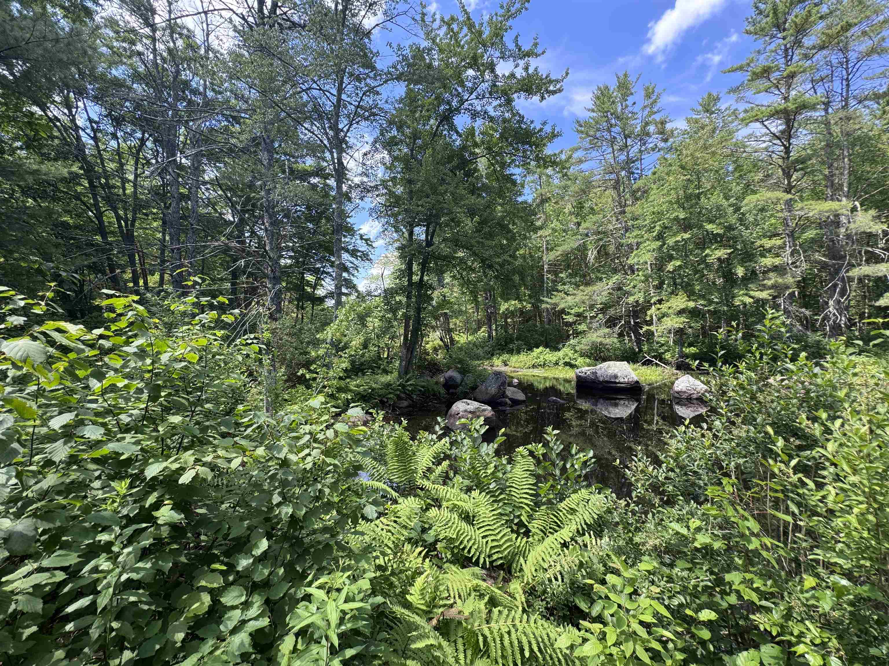 140 Parker Mountain Road
