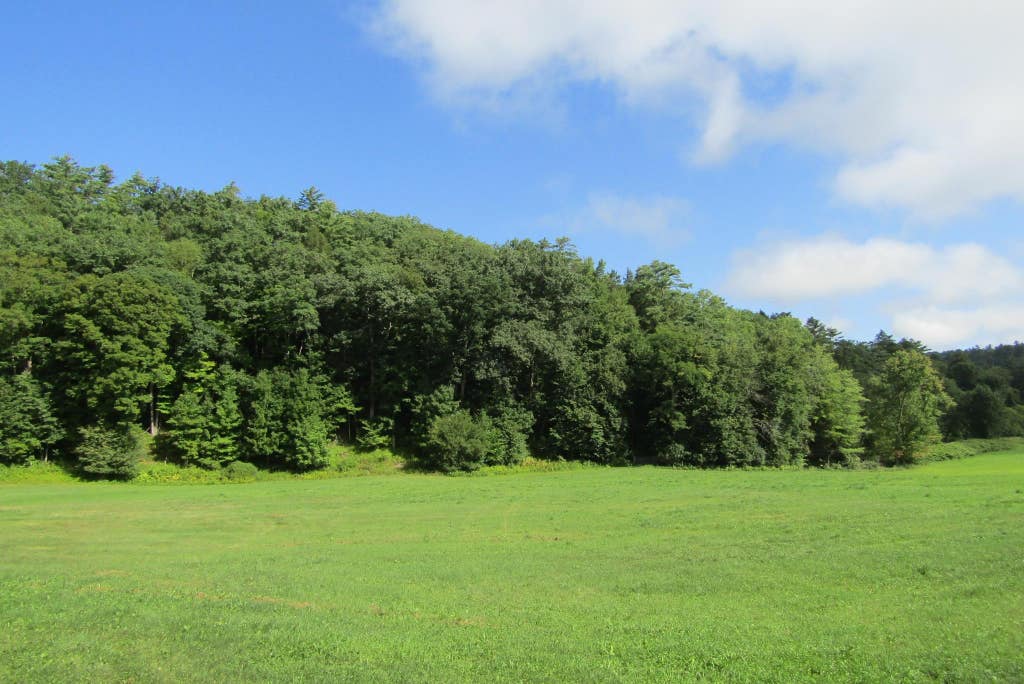 Photo of 00 Mill Street, Haverhill, NH 03785 (MLS # 5106547)