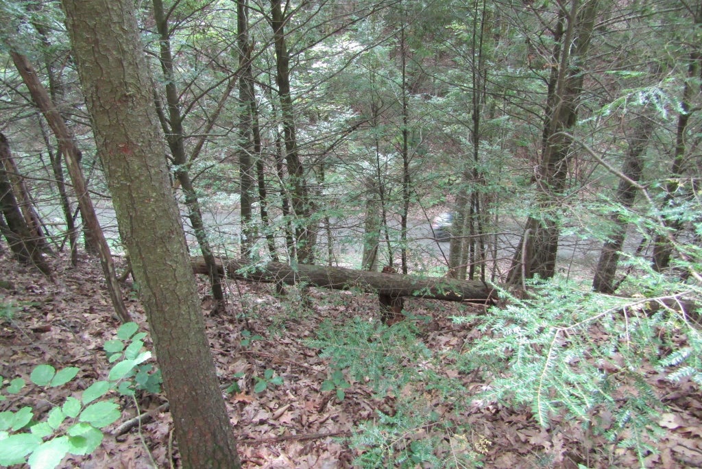 Photo of 00 Mill Street, Haverhill, NH 03785 (MLS # 5106547)