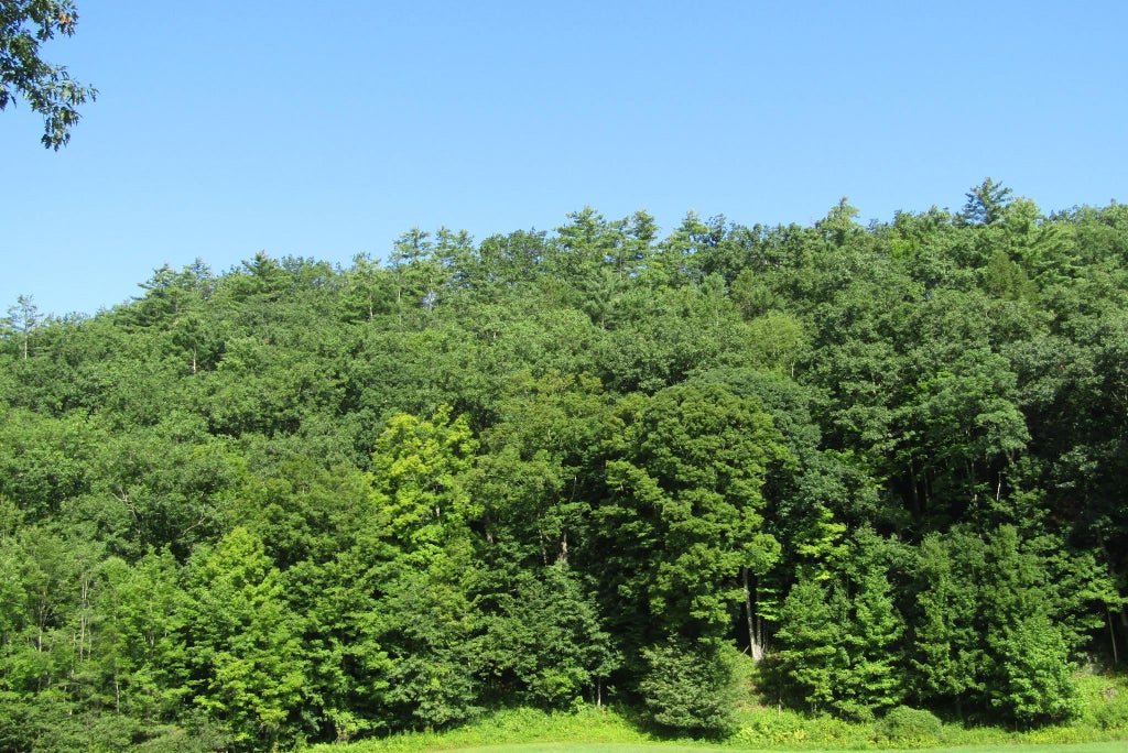Photo of 00 Mill Street, Haverhill, NH 03785 (MLS # 5106547)