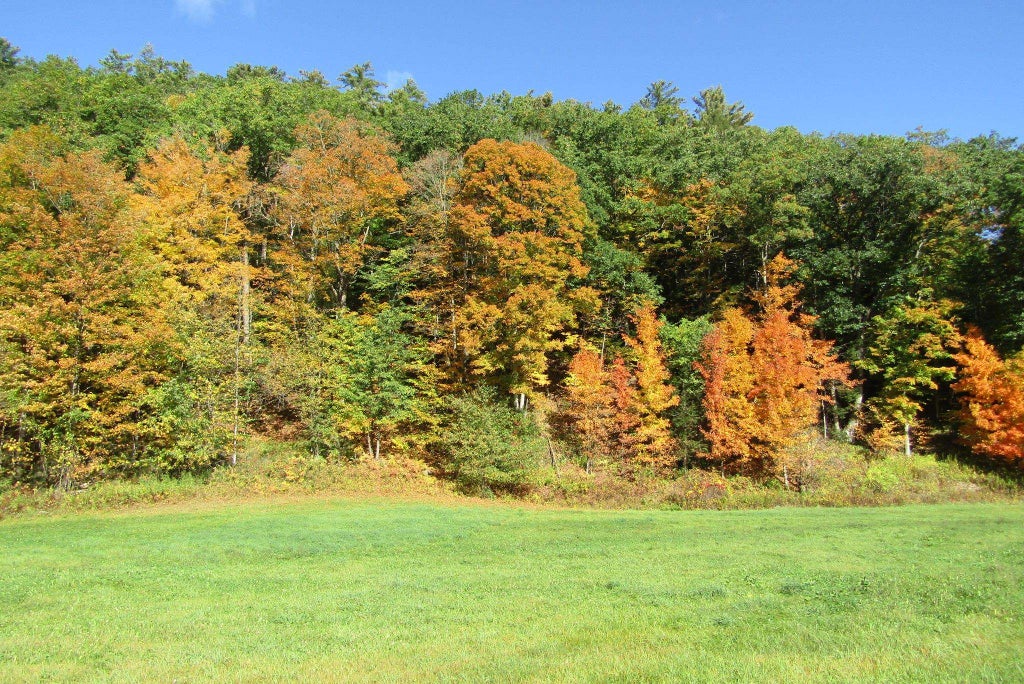 Photo of 00 Mill Street, Haverhill, NH 03785 (MLS # 5106547)