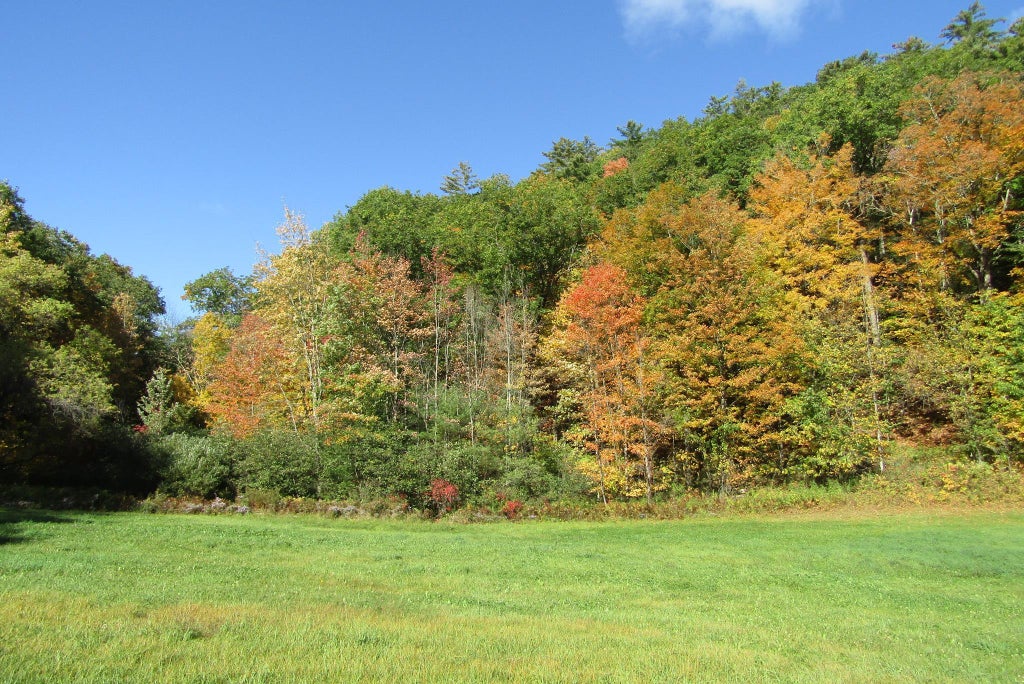 Photo of 00 Mill Street, Haverhill, NH 03785 (MLS # 5106547)