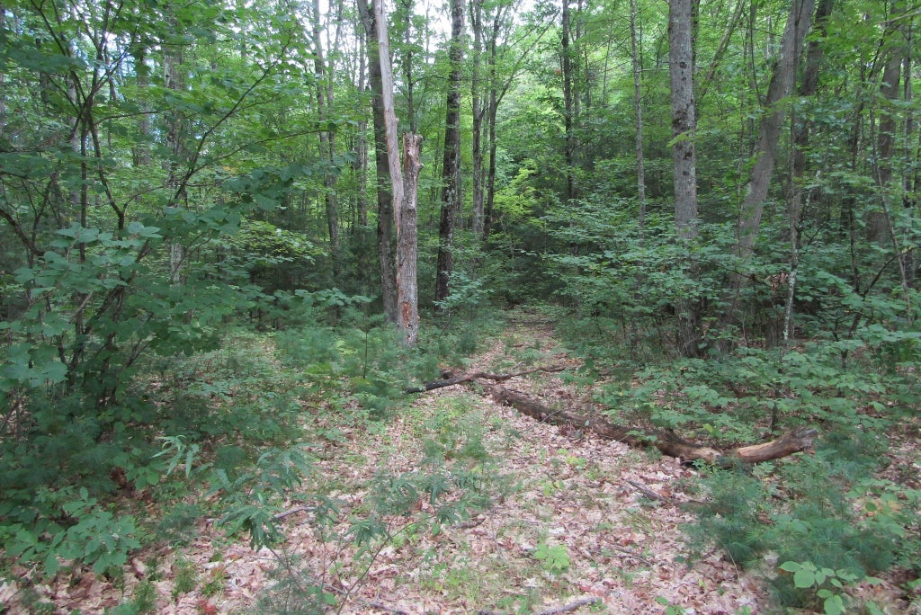 Photo of 00 Mill Street, Haverhill, NH 03785 (MLS # 5106547)