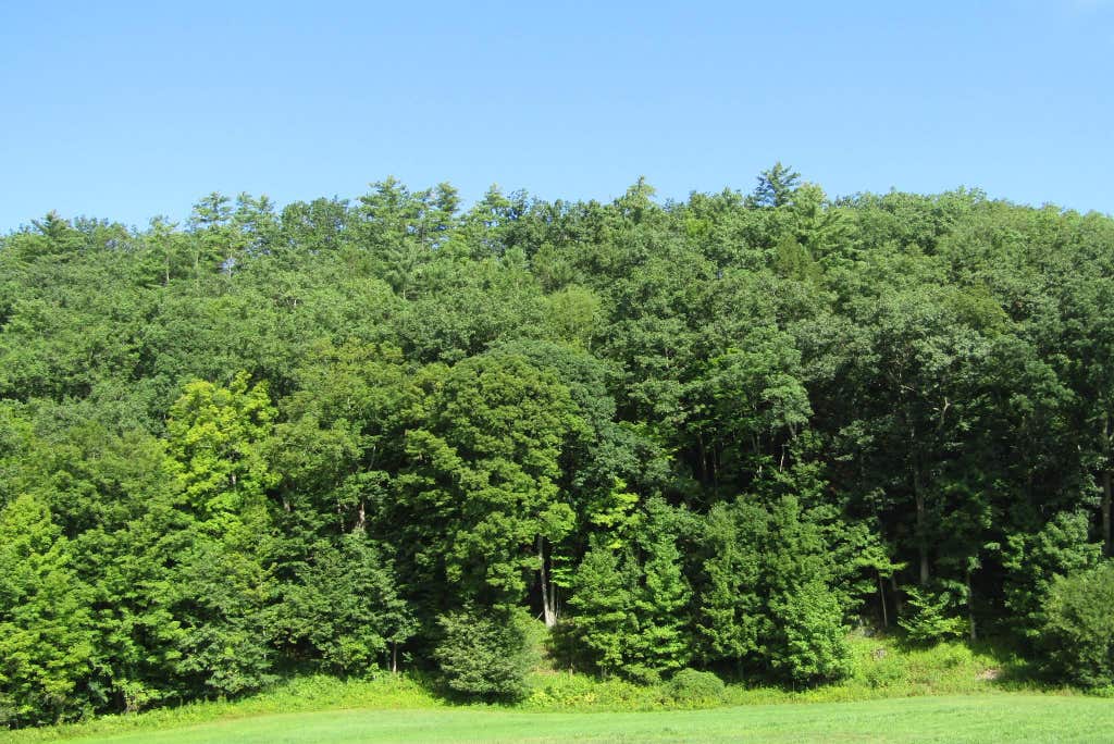 Photo of 00 Mill Street, Haverhill, NH 03785 (MLS # 5106547)