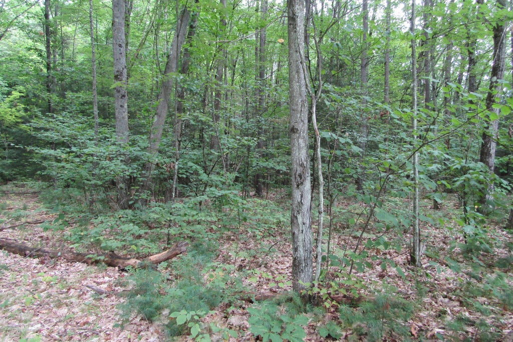 Photo of 00 Mill Street, Haverhill, NH 03785 (MLS # 5106547)