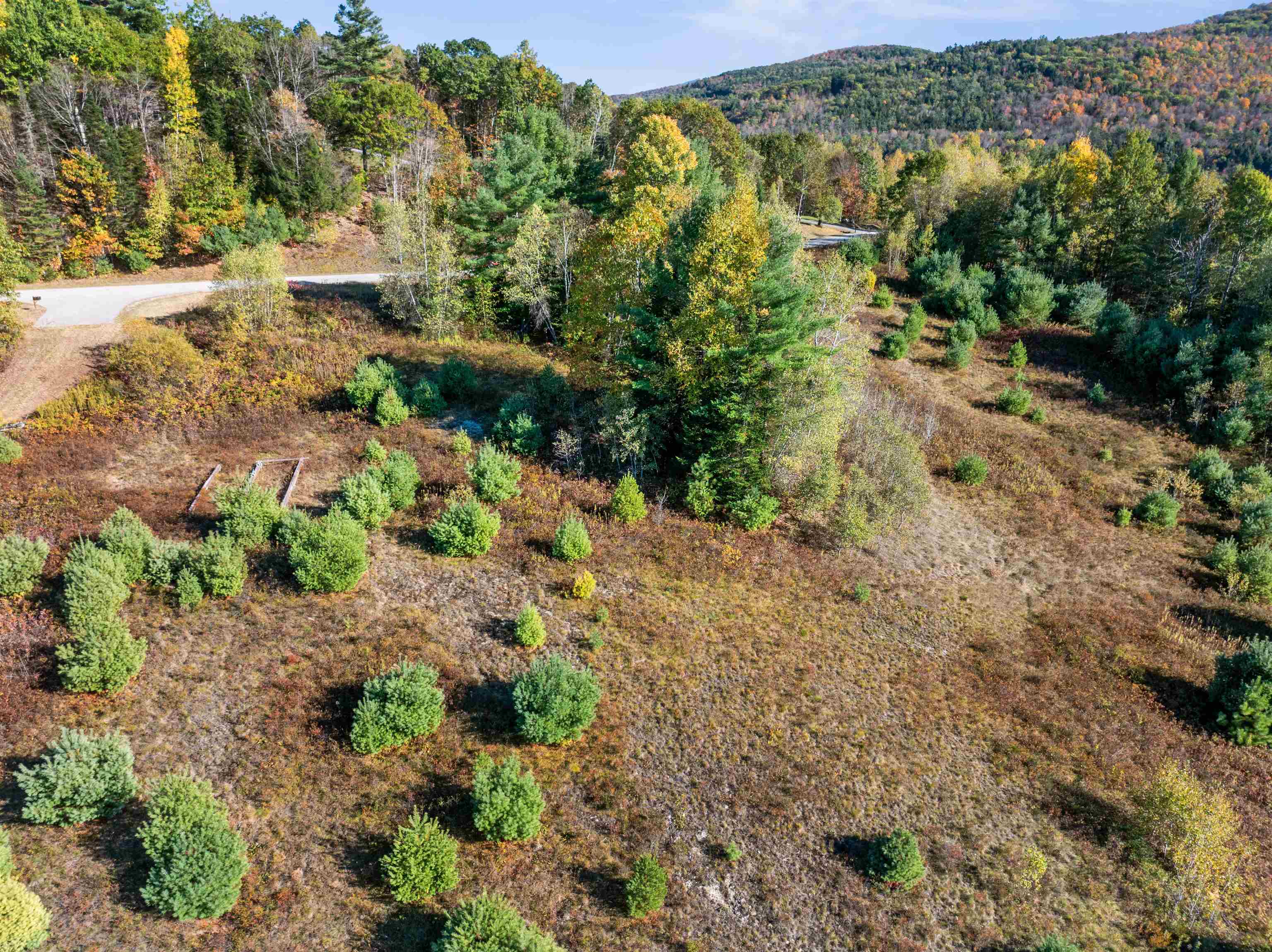 113 Buck Ridge Road