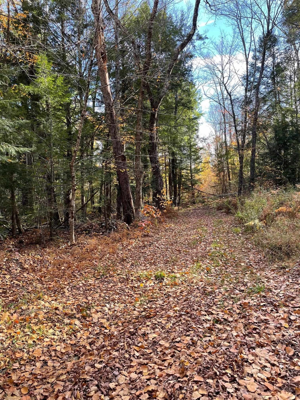 Photo of 00 Turner Hill Road, Antrim, NH 03440 (MLS # 5115205)