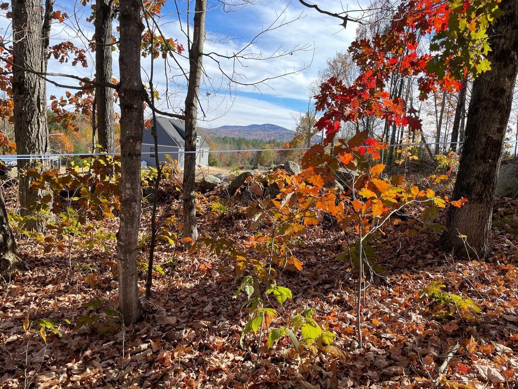 Photo of 00 Turner Hill Road, Antrim, NH 03440 (MLS # 5115205)