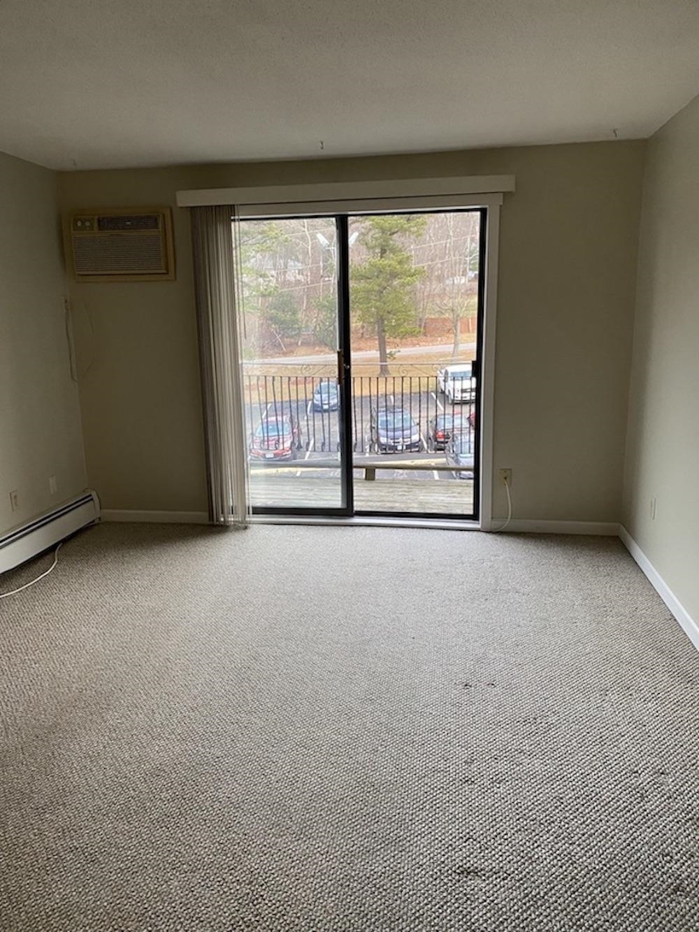 136 Mammoth Road 26