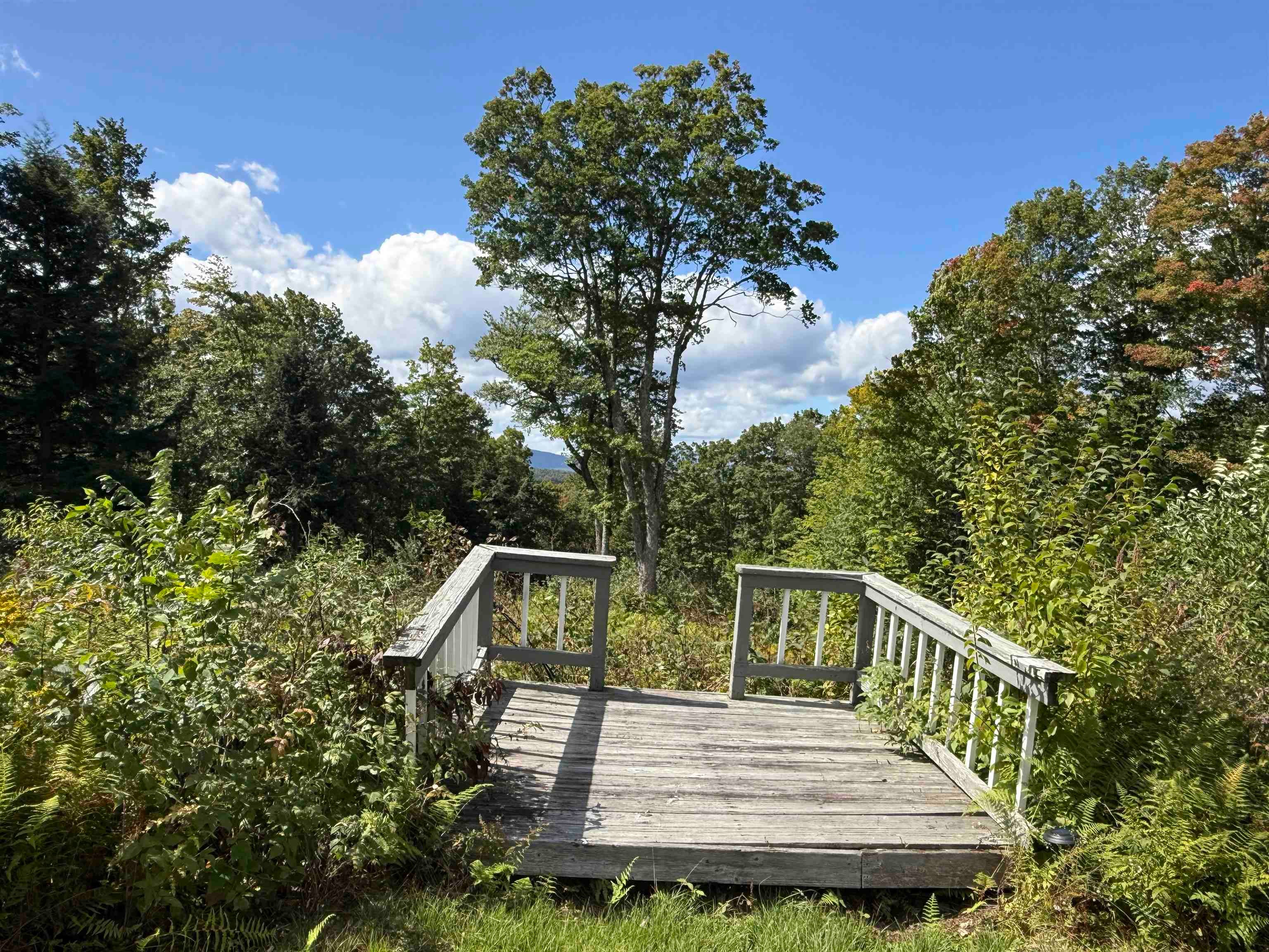 404 Woodland Drive