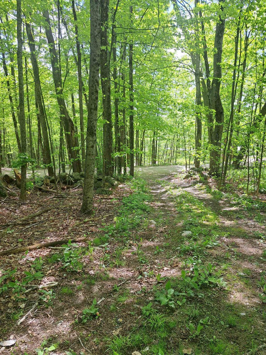 Photo of 81 Hart Farm Road, Deering, NH 03244 (MLS # 5090814)