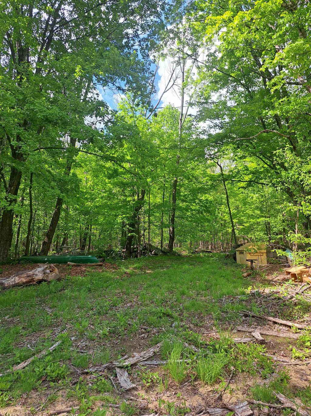 Photo of 81 Hart Farm Road, Deering, NH 03244 (MLS # 5090814)