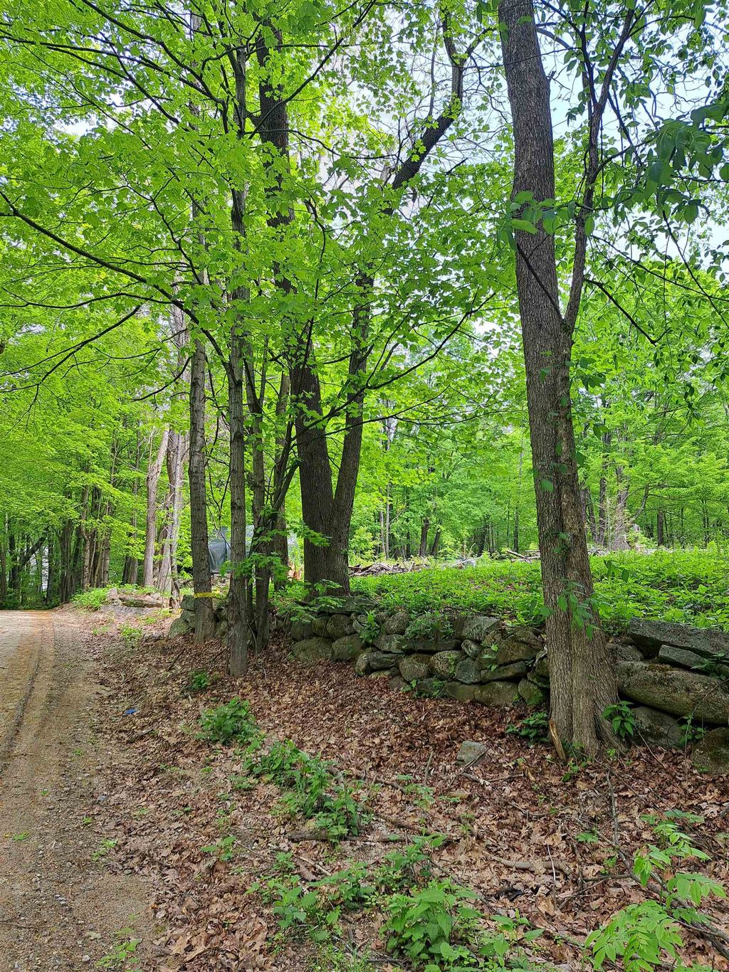 Photo of 81 Hart Farm Road, Deering, NH 03244 (MLS # 5090814)