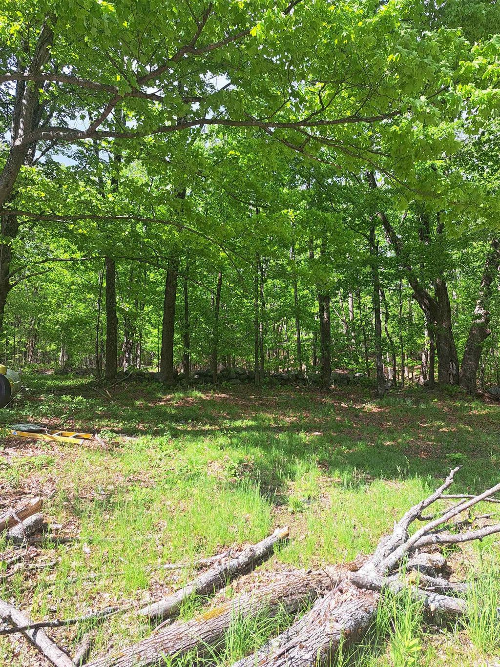 Photo of 81 Hart Farm Road, Deering, NH 03244 (MLS # 5090814)