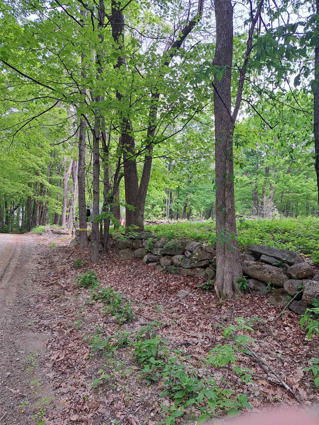 Photo of 81 Hart Farm Road, Deering, NH 03244 (MLS # 5090814)