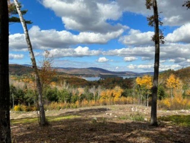 207 Overlook Drive 217-133-1