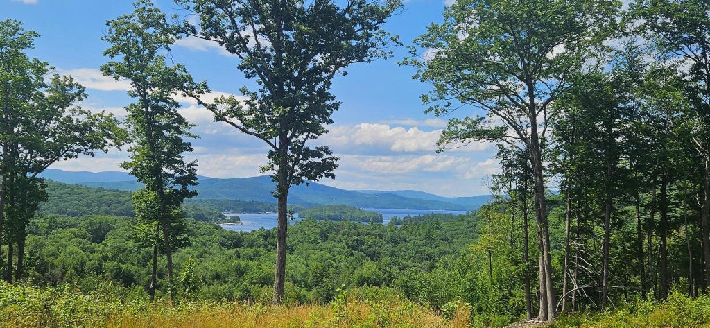 Photo of 207 Overlook Drive #217-133-1, Bristol, NH 03222 (MLS # 5089856)