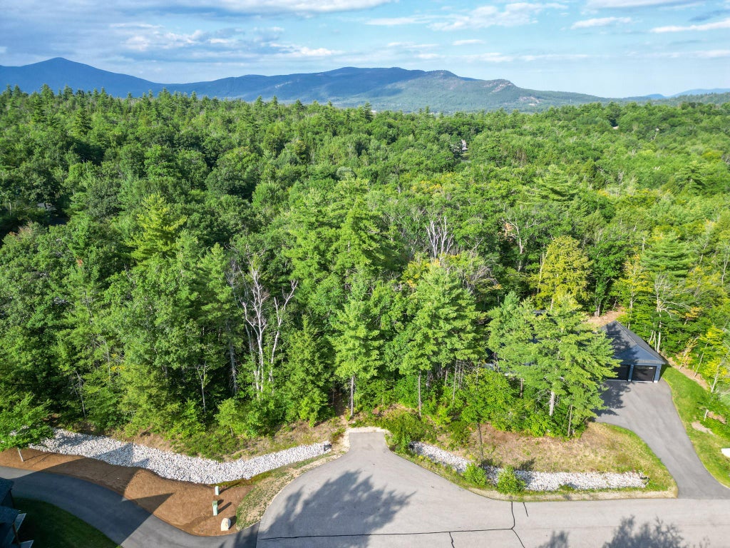 Photo of 00 Madeline Way #45, Conway, NH 03818 (MLS # 5103967)