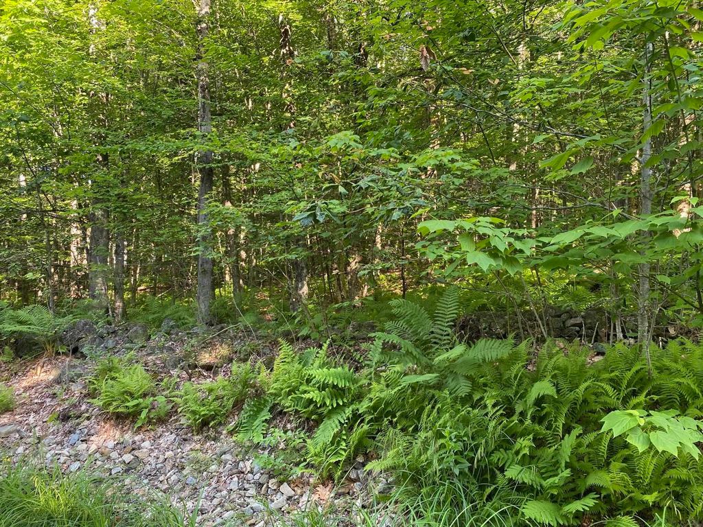 Photo of 164183 Mason Road, Milton, NH 03851 (MLS # 5093119)