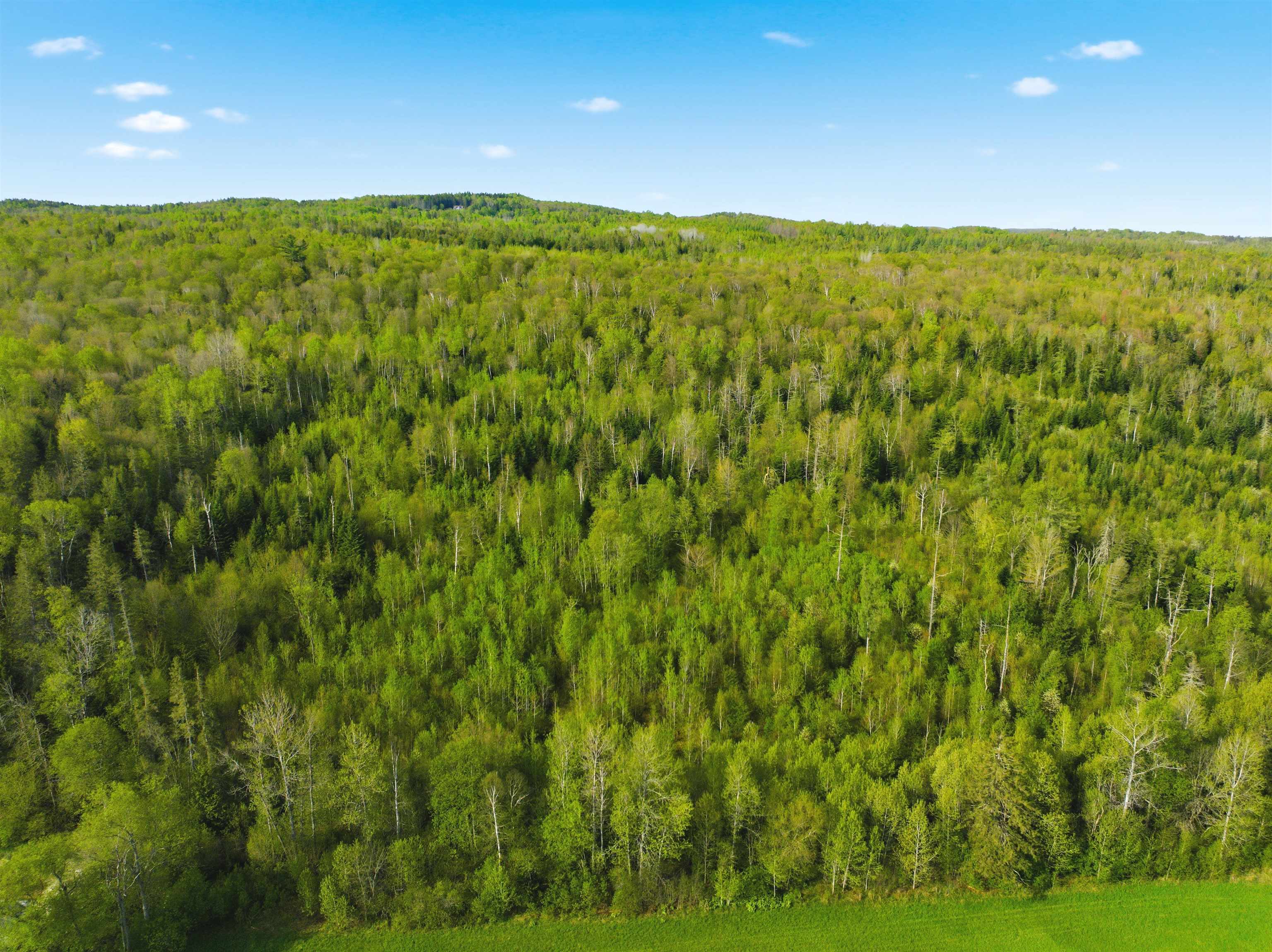 TBD Carleton Hill Road