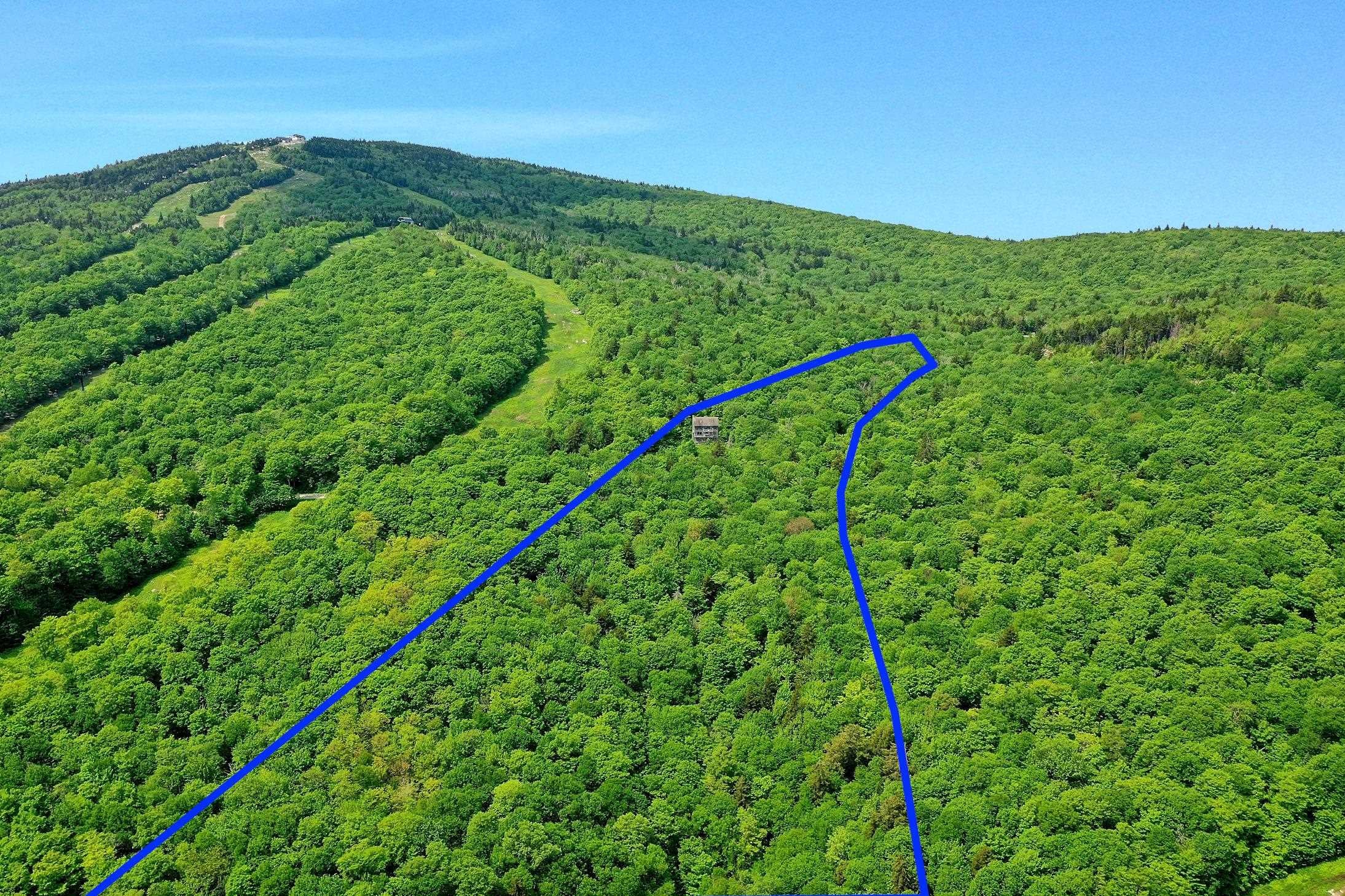 1300 Mountain Road
