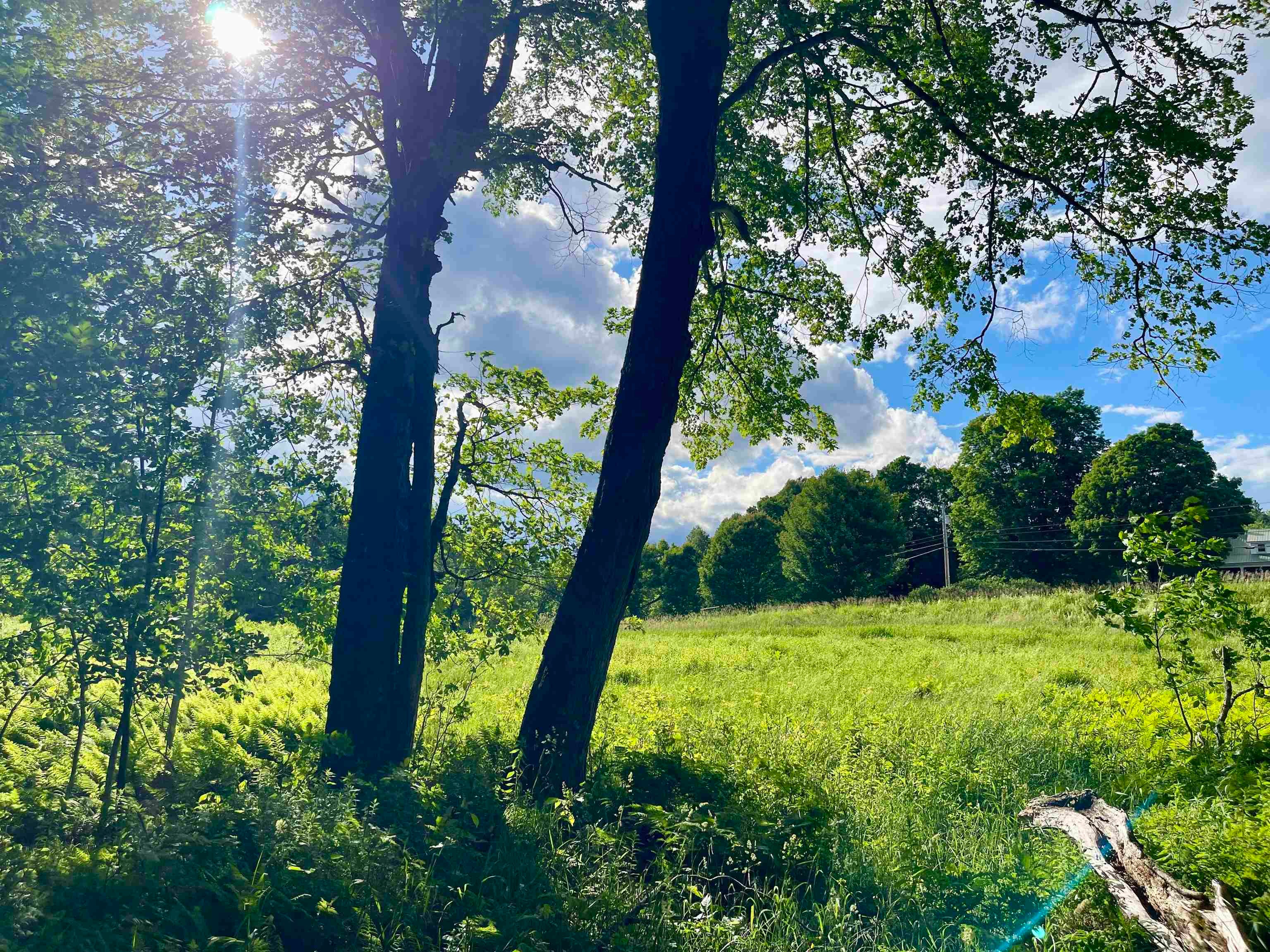 00 Old Farm Road