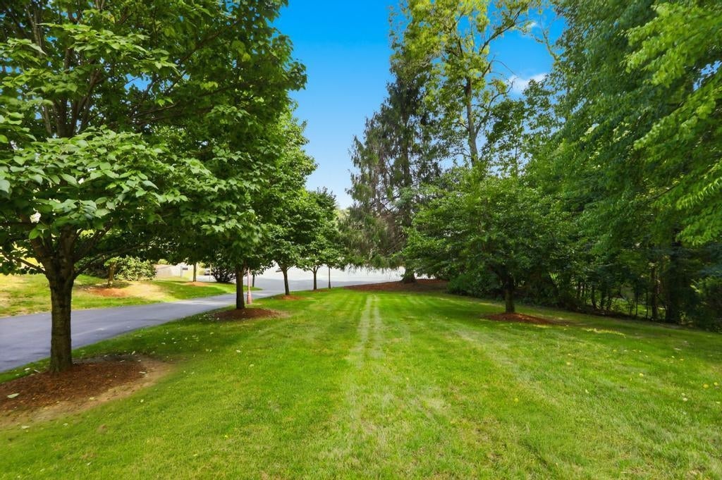 35 Hyacinth Drive