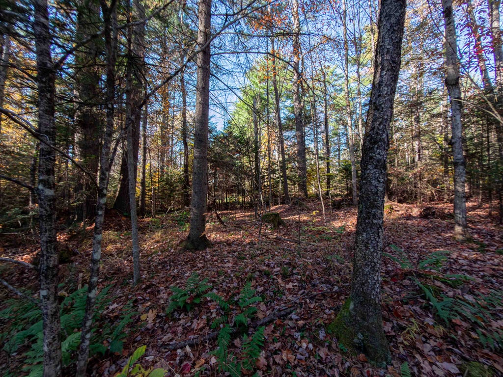 Photo of 85 Newport Road, Haverhill, NH 03765 (MLS # 5116417)