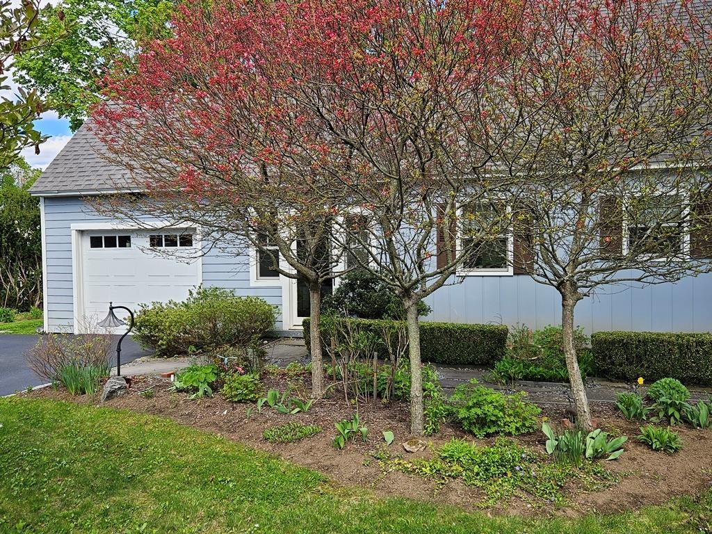 31 Hastings Avenue