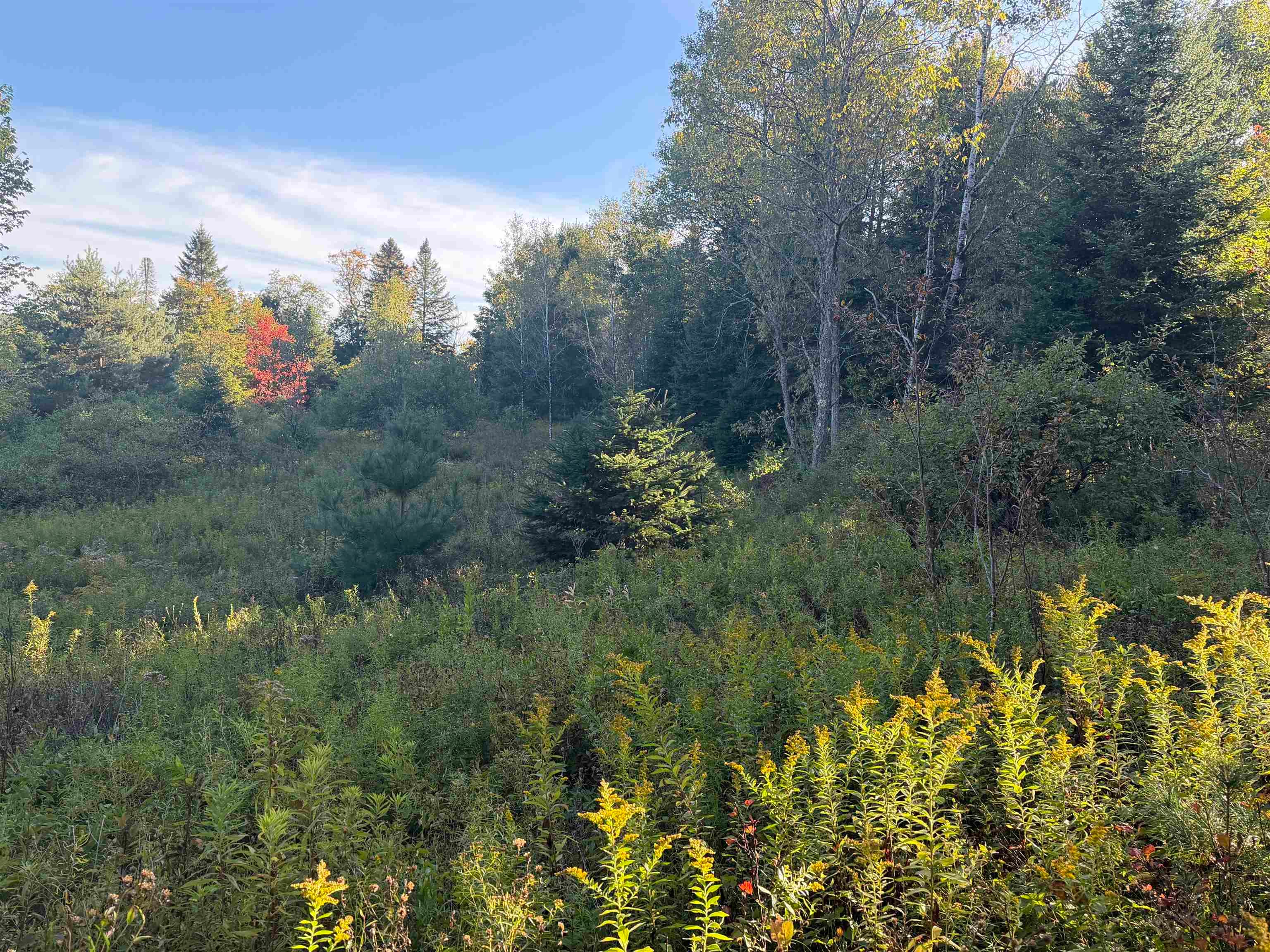 000 Burke Hollow Road #1 & #2