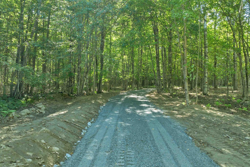 Photo of 0 Gile Road #Map 141 Lot 401 Sub, Franklin, NH 03235 (MLS # 5107820)