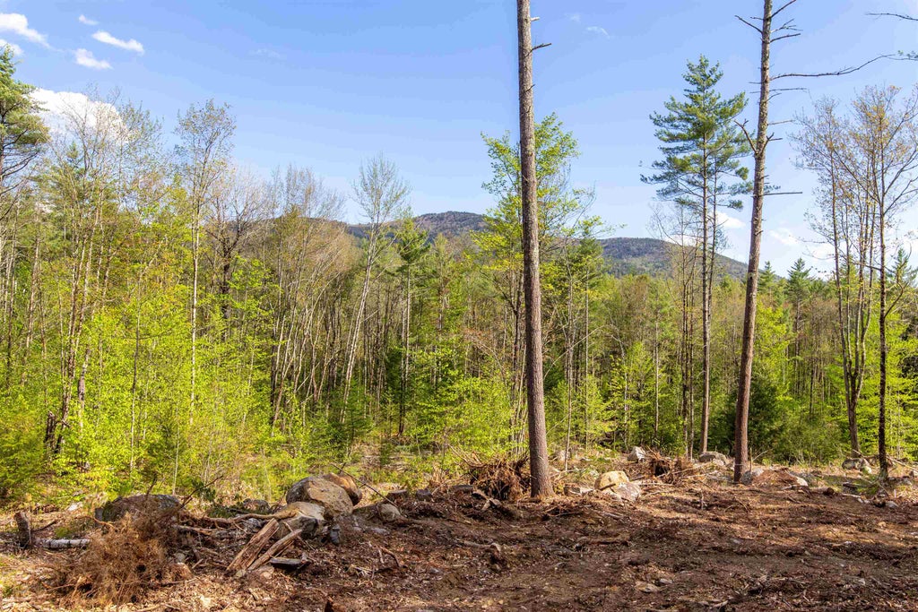 Photo of 000 Elijah Beede Road, Sandwich, NH 03227 (MLS # 5091833)