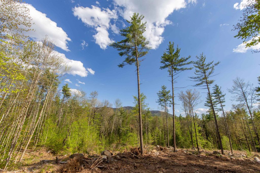 Photo of 000 Elijah Beede Road, Sandwich, NH 03227 (MLS # 5091833)