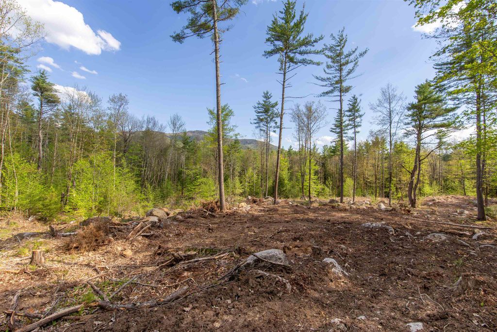 Photo of 000 Elijah Beede Road, Sandwich, NH 03227 (MLS # 5091833)