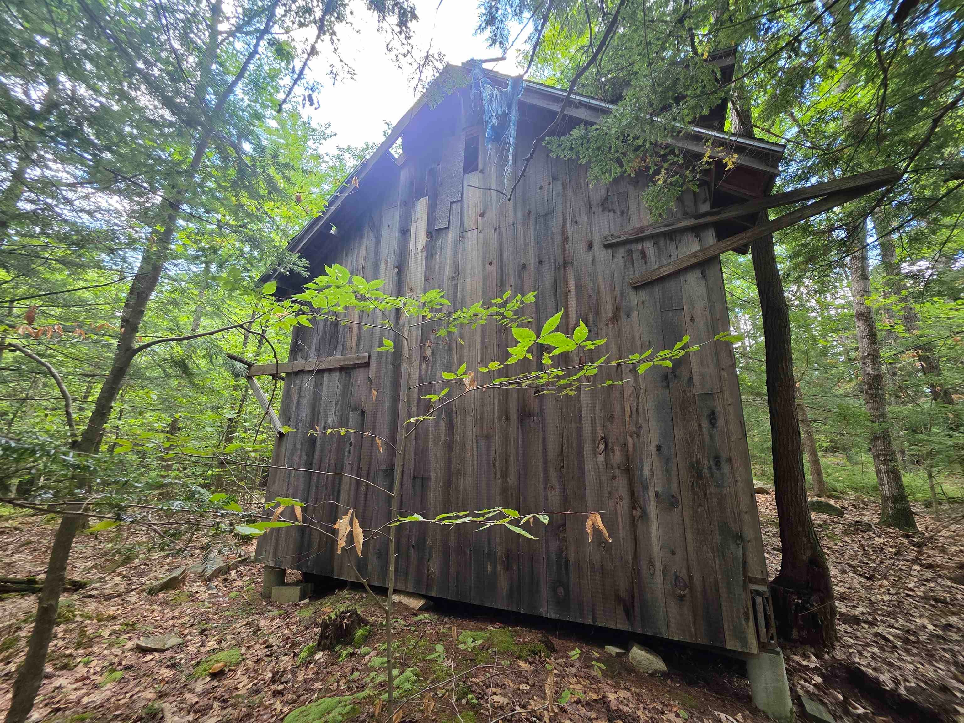 37 Shady Lane