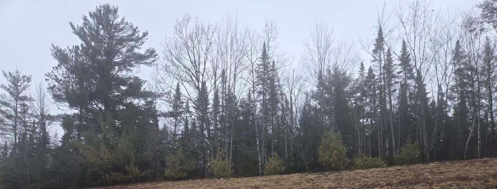 Photo of 00 Whitefield Road, Bethlehem, NH 03574 (MLS # 5094126)