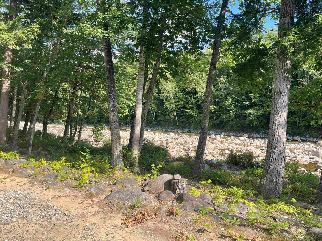 Photo of 26 Penstock Road #Unit 2, Lincoln, NH 03251 (MLS # 5107292)