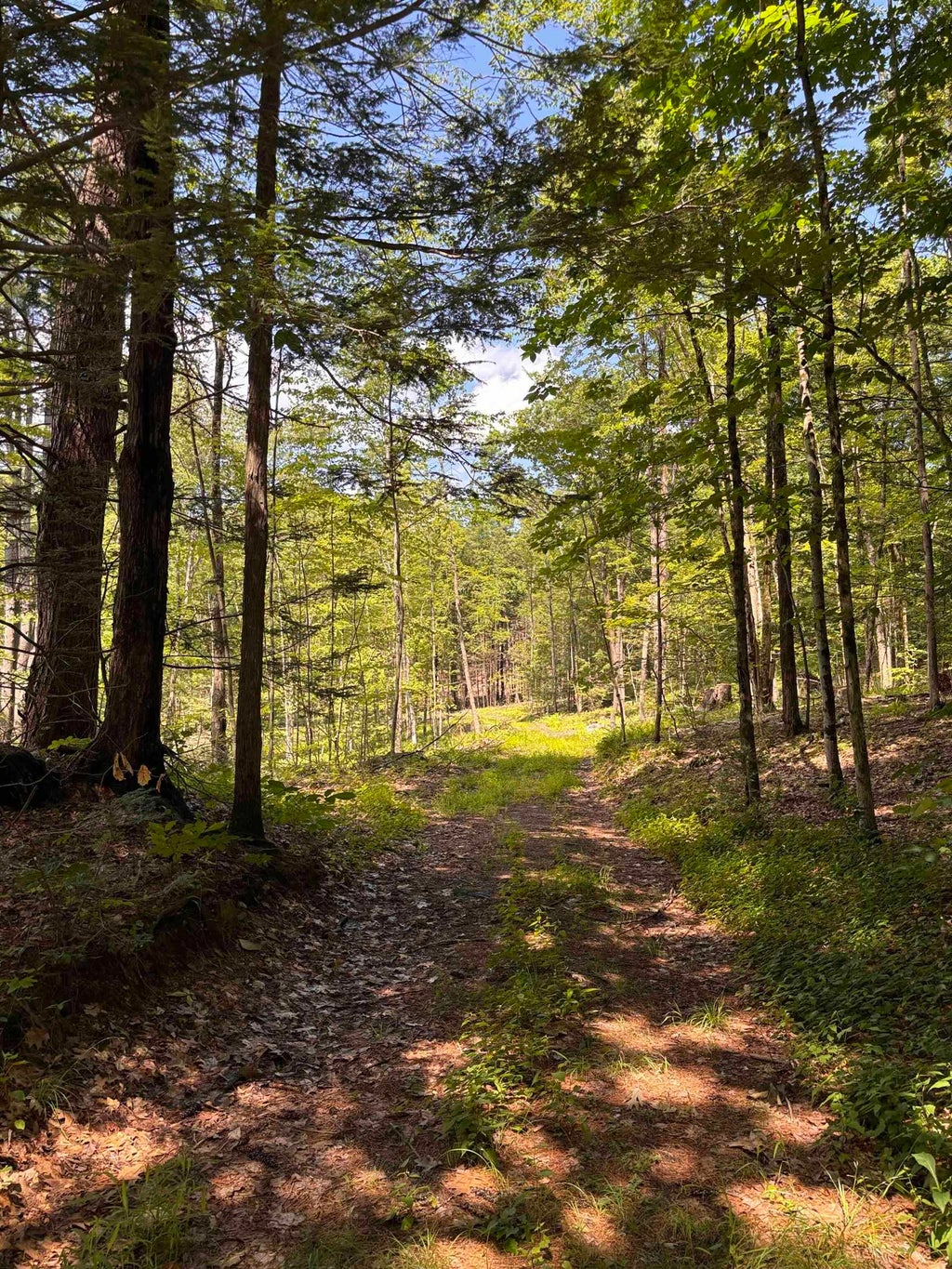 Photo of 12 Tower Hill Road, Hinsdale, NH 03451 (MLS # 5098295)