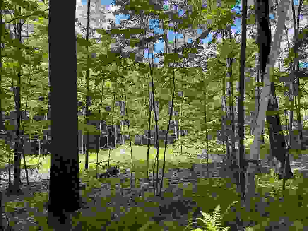 Photo of 12 Tower Hill Road, Hinsdale, NH 03451 (MLS # 5098295)