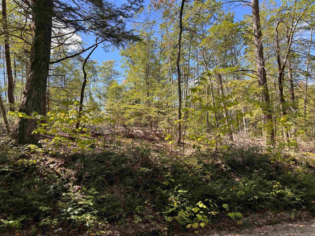 Photo of 4043 Taylor Hill Road, Richmond, NH 03470 (MLS # 5113094)