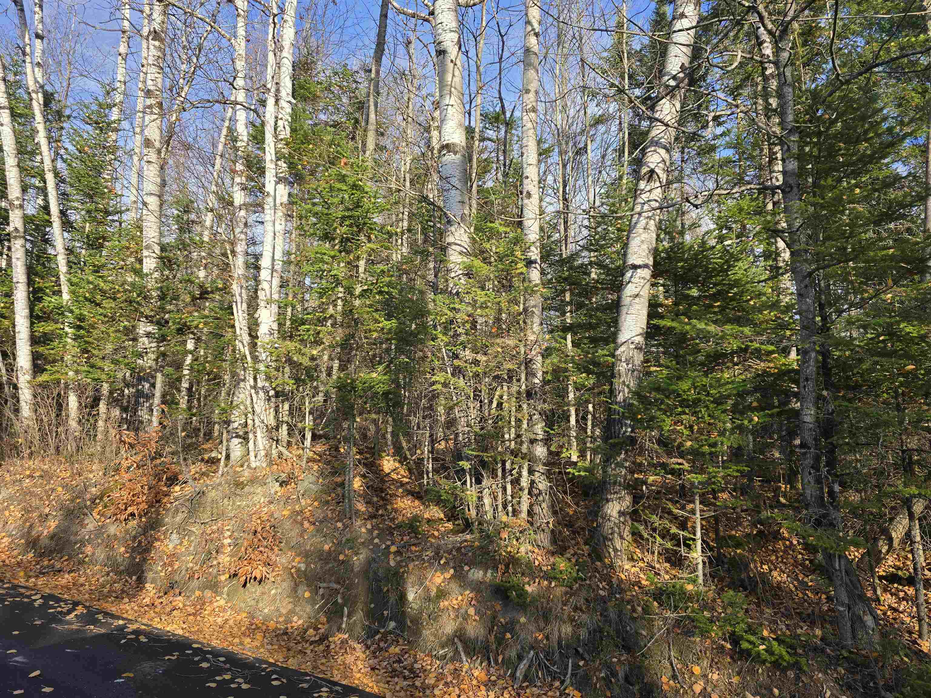 Hawkins Road