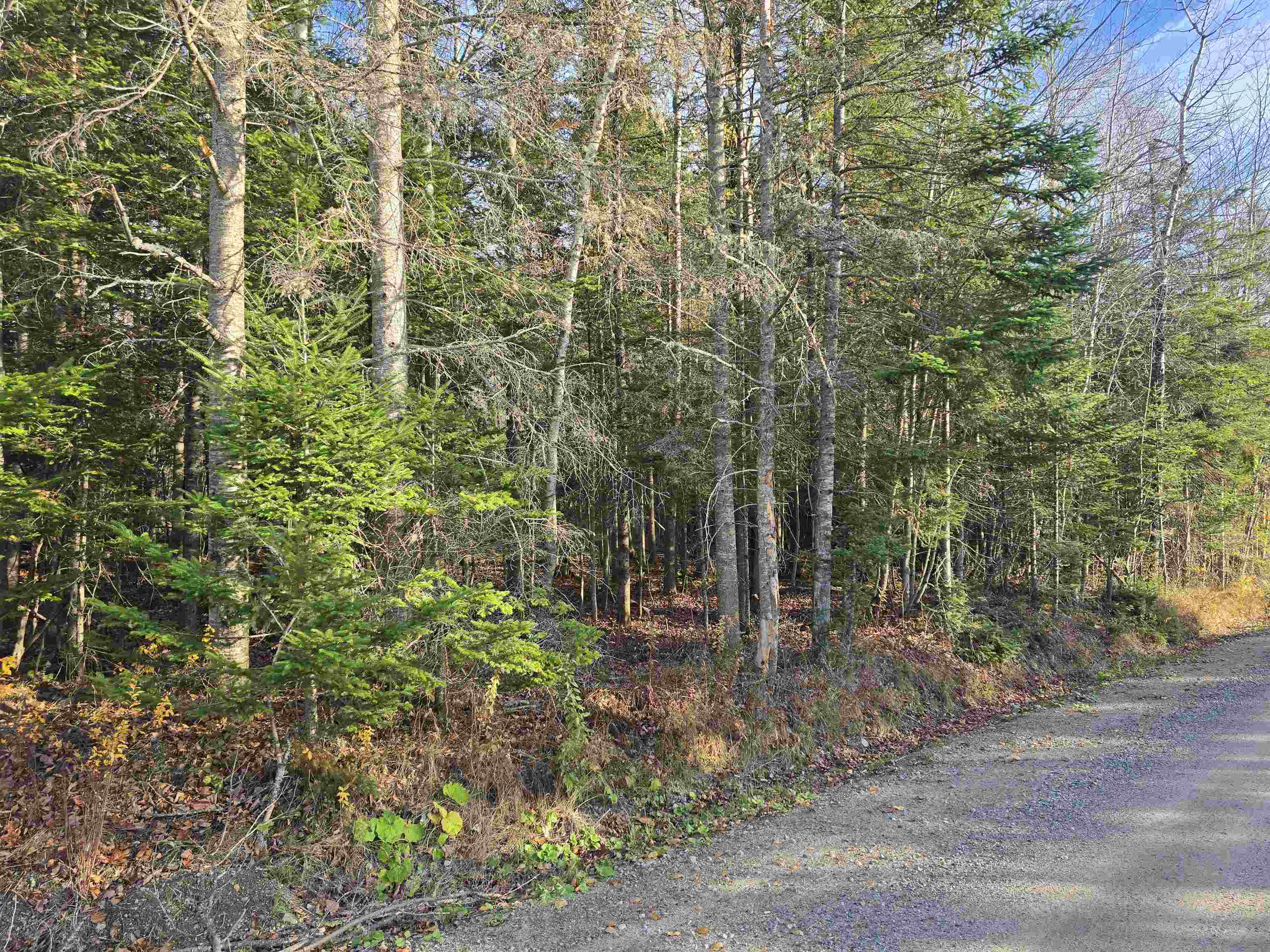 Hawkins Road