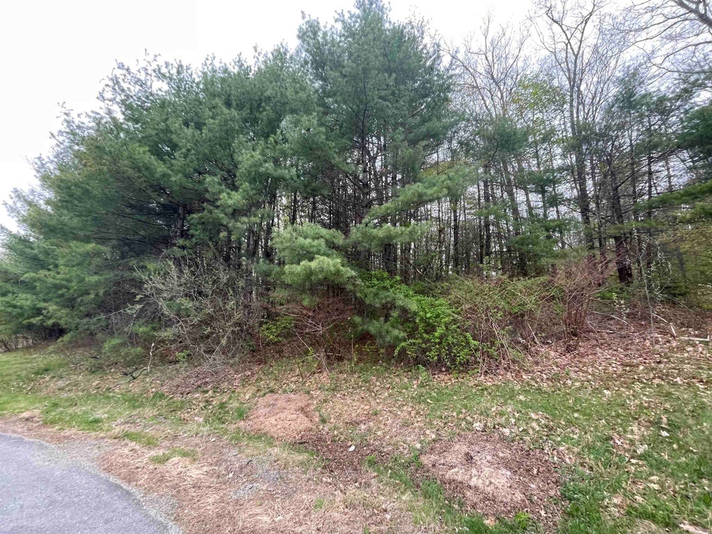 Photo of 122 Pontiac Drive, Chesterfield, NH 03462 (MLS # 5087554)