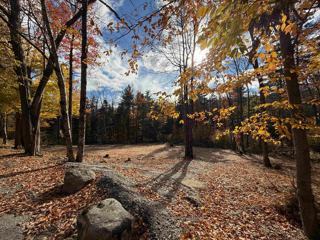 Photo of 441 Kinsman Road, Grafton, NH 03240 (MLS # 5114873)