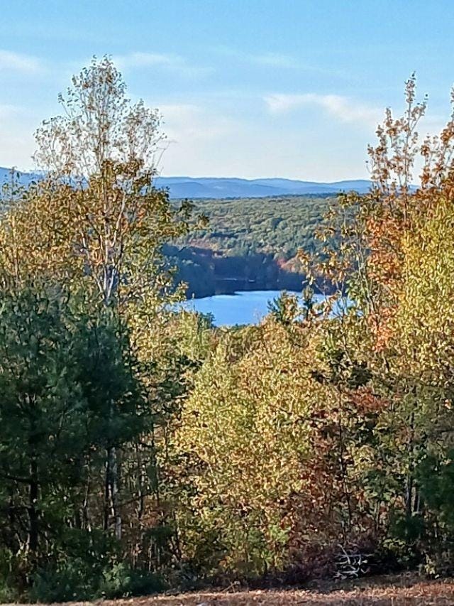 Photo of 000 Thistle Road #Tax Map 423 Lot 48, Gilmanton, NH 03237 (MLS # 5085690)