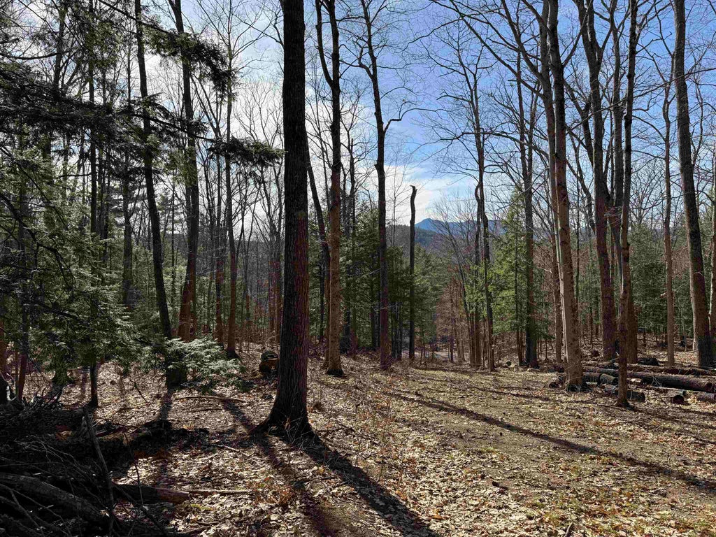 Photo of 00 Conway Road #46, Madison, NH 03849 (MLS # 5105725)