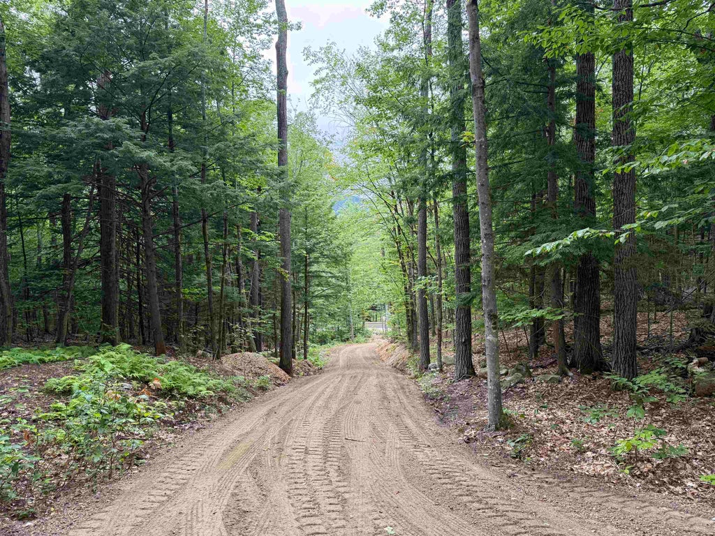 Photo of 00 Conway Road #46, Madison, NH 03849 (MLS # 5105725)
